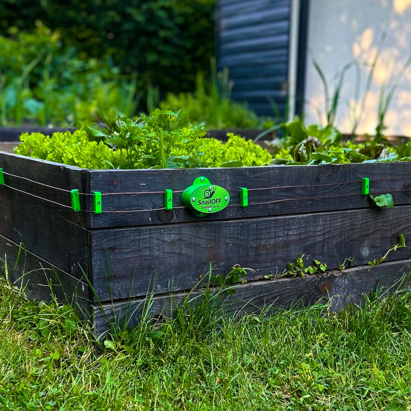 Electric snail-repelling system